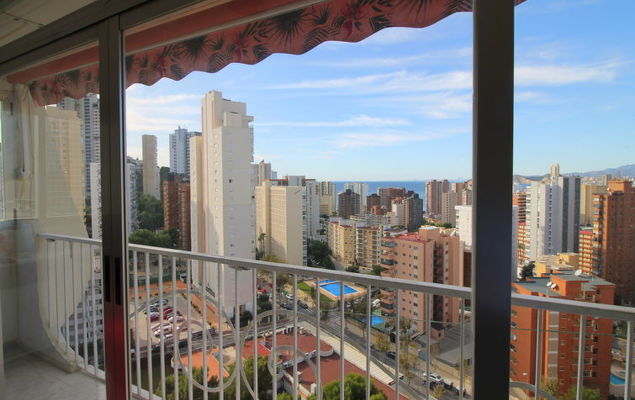  Park Playa Levante - Photo 5