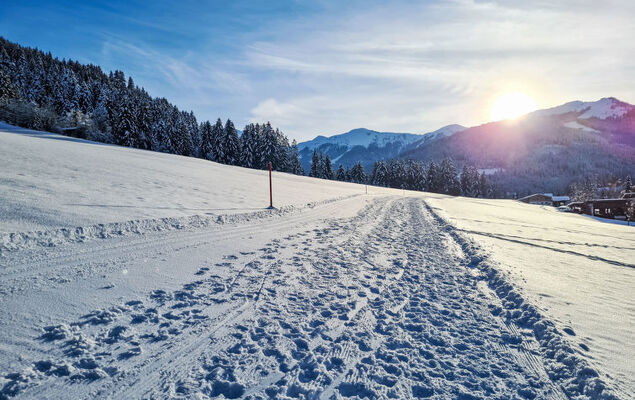 Alpine Residence Auszeit - Photo 35