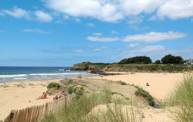 Hortensias 2 - Photo 19