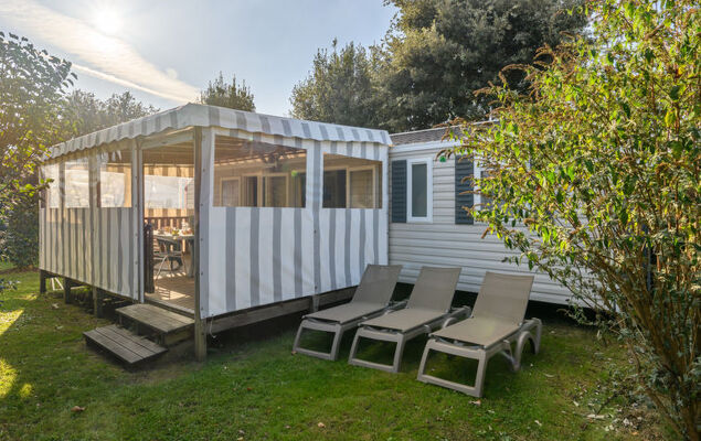 Le Colvert - Photo 4