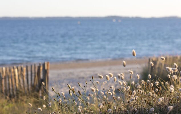 Le Colvert - Photo 29