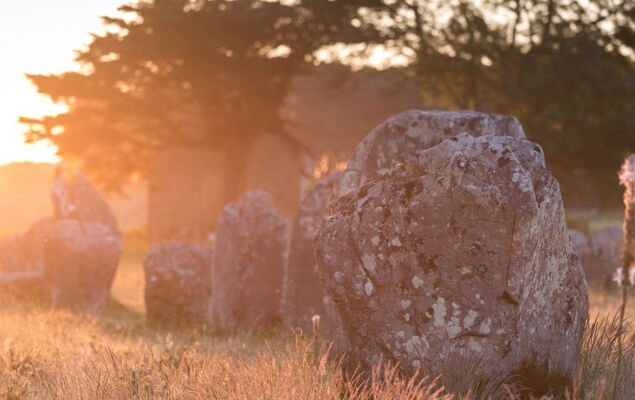 Le Colvert - Photo 34