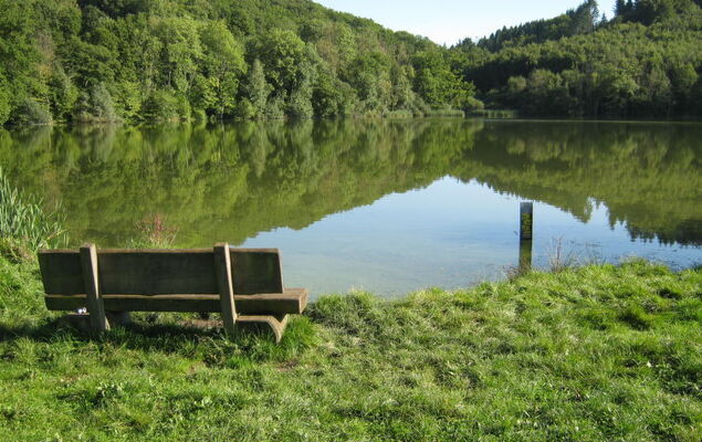 Eifelnatur (Haus 3) - Photo 18