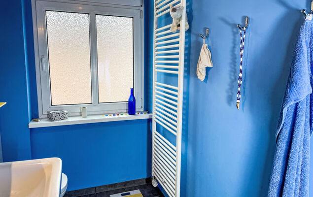 Regenbogen - Photo 7