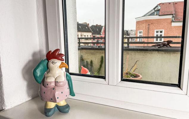 Regenbogen - Photo 26