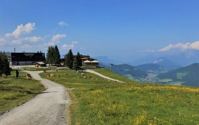 Zauberwinkel - Photo 46