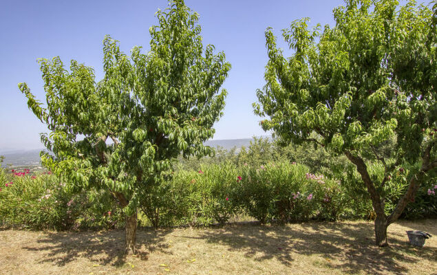 La Campagne - Photo 22